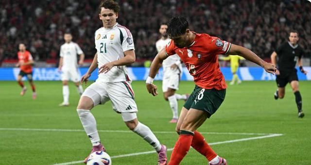 塔扑出, 打平爱尔兰, 两队在世预 塔扑出, 打平爱尔兰, 两队在世预