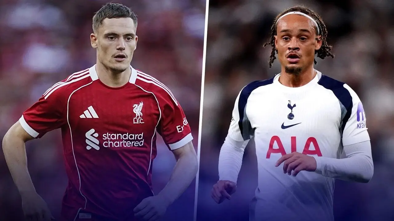 西蒙斯和维 西蒙斯和维